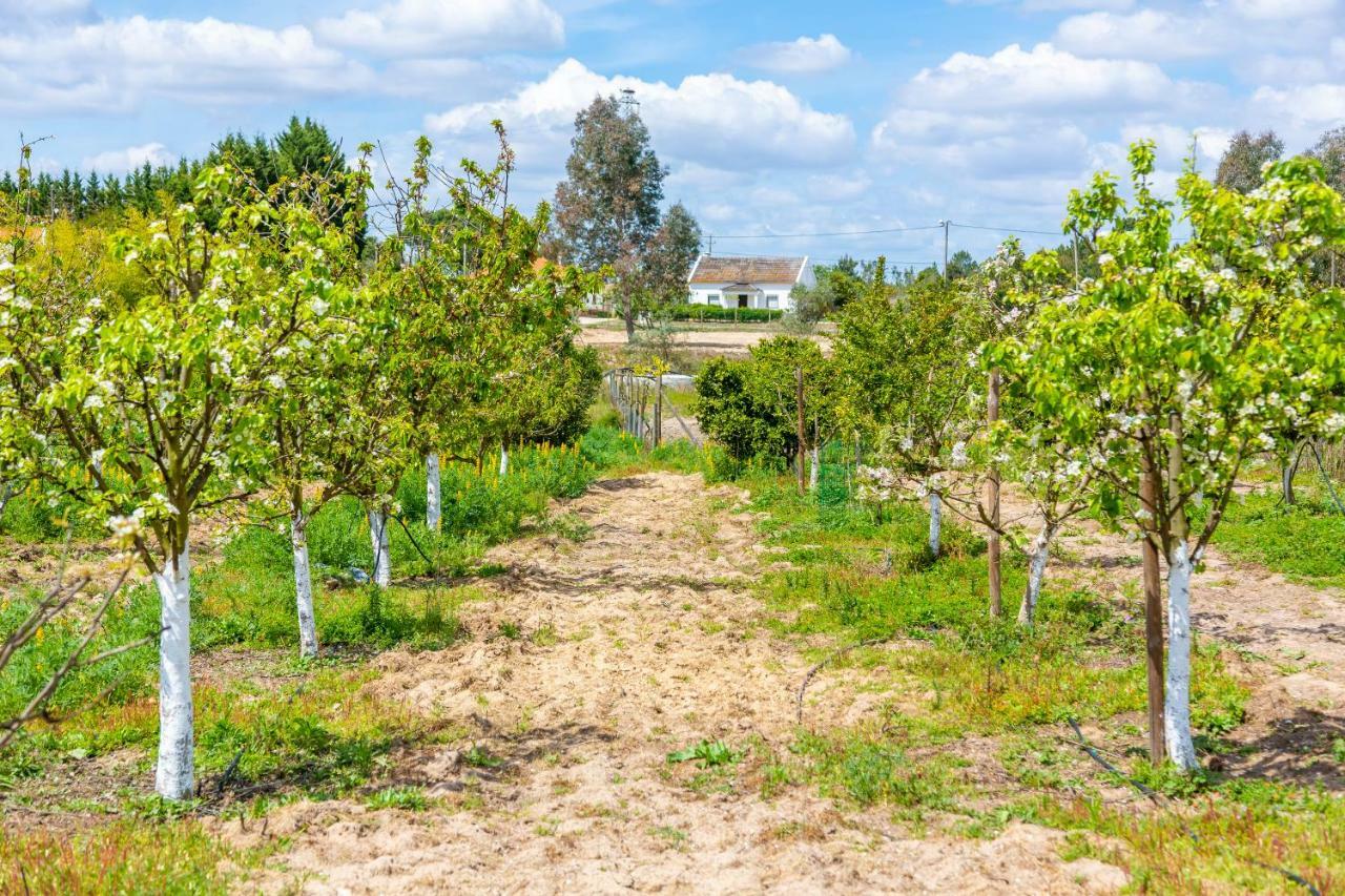 Chitaka'S Organic Farmhouse In Ribatejo Santo Estevao  المظهر الخارجي الصورة